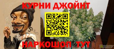 гашик Обь